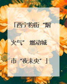 西宁豹街“烟火气” 燃动城市“夜未央”