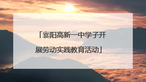 襄阳高新一中学子开展劳动实践教育活动