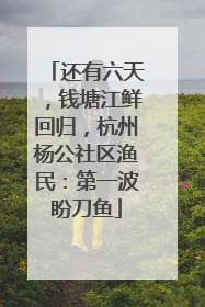 还有六天，钱塘江鲜回归，杭州杨公社区渔民：第一波盼刀鱼