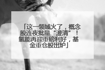 这一领域火了，概念股连夜批量“澄清”！氢能再迎重磅利好，基金重仓股出炉