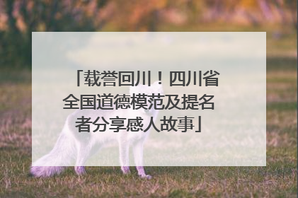 载誉回川！四川省全国道德模范及提名者分享感人故事