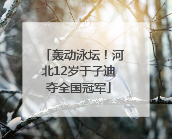 轰动泳坛！河北12岁于子迪夺全国冠军