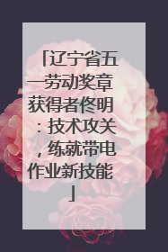 辽宁省五一劳动奖章获得者佟明：技术攻关，练就带电作业新技能