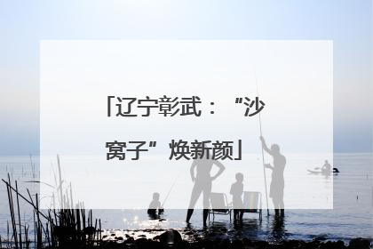 辽宁彰武：“沙窝子”焕新颜