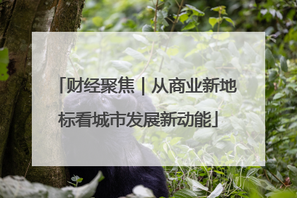 财经聚焦｜从商业新地标看城市发展新动能