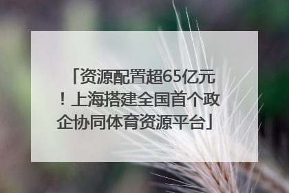 资源配置超65亿元！上海搭建全国首个政企协同体育资源平台