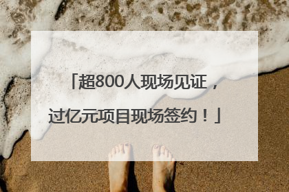 超800人现场见证，过亿元项目现场签约！