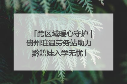 跨区域暖心守护｜贵州驻温劳务站助力黔籍娃入学无忧