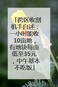 跨区收割机手自述：一小时能收10亩地，有地块每亩低至35元，中午基本不吃饭