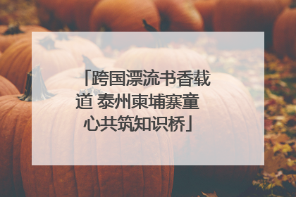 跨国漂流书香载道 泰州柬埔寨童心共筑知识桥