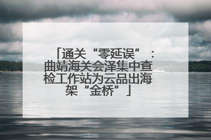 通关“零延误”：曲靖海关会泽集中查检工作站为云品出海架“金桥”