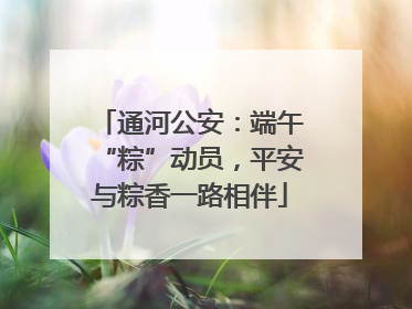 通河公安：端午“粽”动员，平安与粽香一路相伴