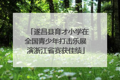 遂昌县育才小学在全国青少年打击乐展演浙江省赛获佳绩
