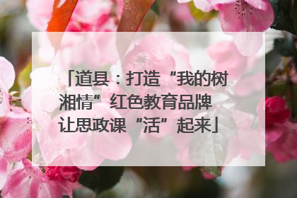 道县：打造“我的树湘情”红色教育品牌 让思政课“活”起来