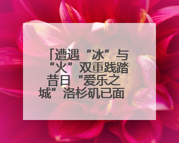 遭遇“冰”与“火”双重践踏 昔日“爱乐之城”洛杉矶已面目全非