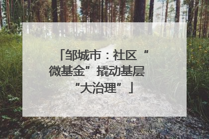 邹城市：社区“微基金”撬动基层“大治理”