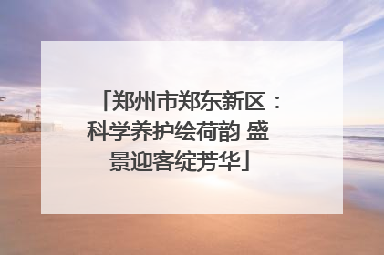 郑州市郑东新区：科学养护绘荷韵 盛景迎客绽芳华