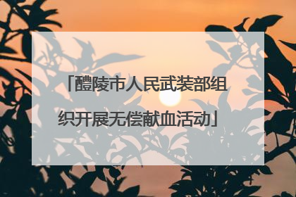 醴陵市人民武装部组织开展无偿献血活动