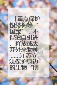 重点保护银缕梅等“国宝”，不得擅自引进、释放或丢弃外来物种……江苏立法保护身边的生物“朋友圈”