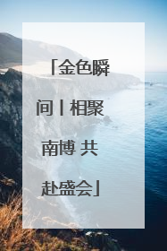 金色瞬间丨相聚南博 共赴盛会