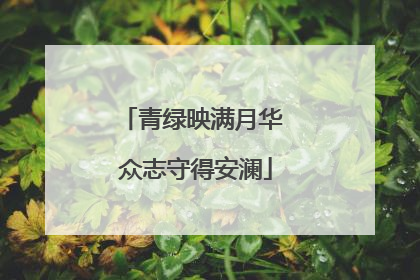 青绿映满月华 众志守得安澜