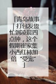 青岛故事｜打包发货忙到凌晨四点钟，这个假期崔家集小西红柿加倍“受宠”