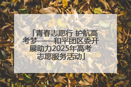 青春志愿行 护航高考梦——和平团区委开展助力2025年高考志愿服务活动