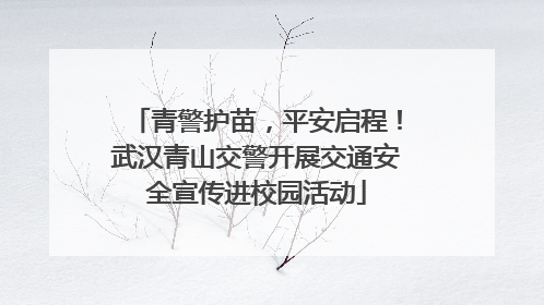 青警护苗，平安启程！武汉青山交警开展交通安全宣传进校园活动