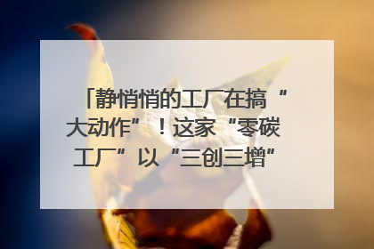 静悄悄的工厂在搞“大动作”！这家“零碳工厂”以“三创三增”探索共富新路径｜网络名人四川行