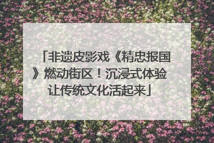 非遗皮影戏《精忠报国》燃动街区！沉浸式体验让传统文化活起来