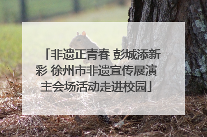 非遗正青春 彭城添新彩 徐州市非遗宣传展演主会场活动走进校园