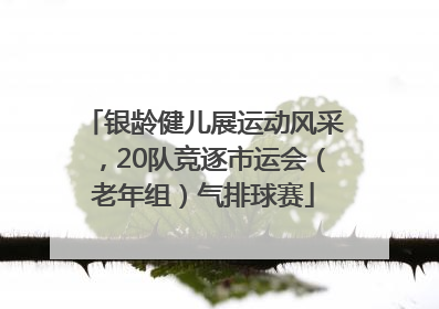 银龄健儿展运动风采，20队竞逐市运会（老年组）气排球赛