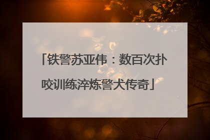 铁警苏亚伟：数百次扑咬训练淬炼警犬传奇