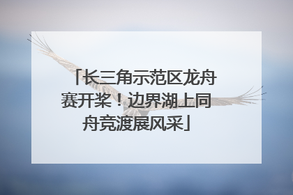 长三角示范区龙舟赛开桨！边界湖上同舟竞渡展风采