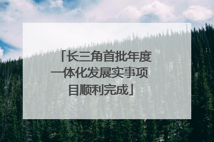 长三角首批年度一体化发展实事项目顺利完成