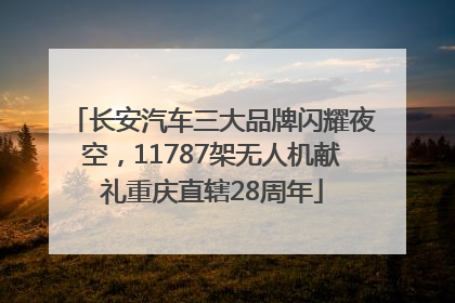 长安汽车三大品牌闪耀夜空，11787架无人机献礼重庆直辖28周年