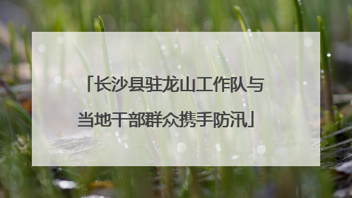 长沙县驻龙山工作队与当地干部群众携手防汛