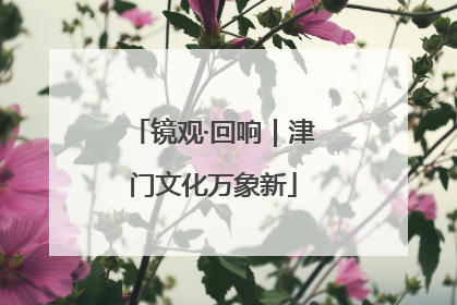 镜观·回响｜津门文化万象新