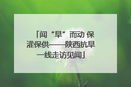 闻“旱”而动 保灌保供——陕西抗旱一线走访见闻