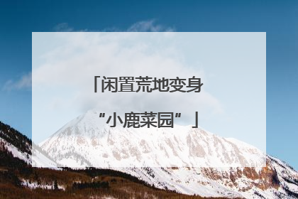 闲置荒地变身“小鹿菜园”