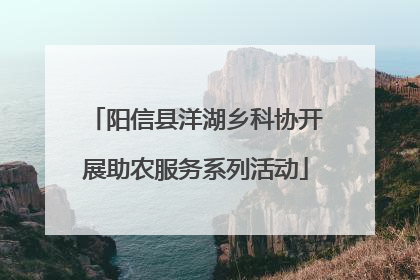 阳信县洋湖乡科协开展助农服务系列活动