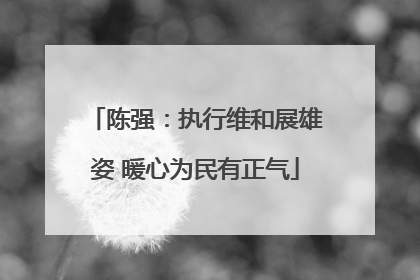 陈强：执行维和展雄姿 暖心为民有正气