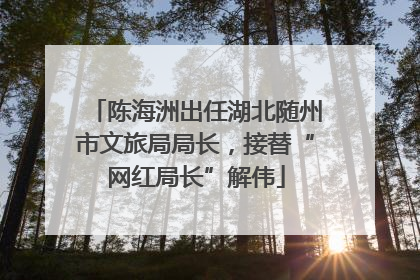陈海洲出任湖北随州市文旅局局长，接替“网红局长”解伟