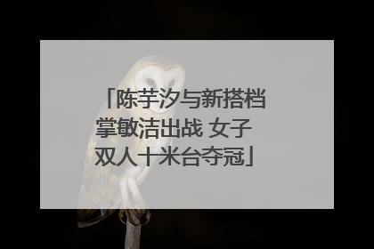 陈芋汐与新搭档掌敏洁出战 女子双人十米台夺冠