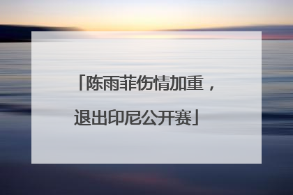 陈雨菲伤情加重，退出印尼公开赛