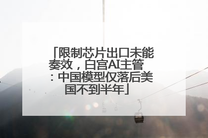 限制芯片出口未能奏效，白宫AI主管：中国模型仅落后美国不到半年