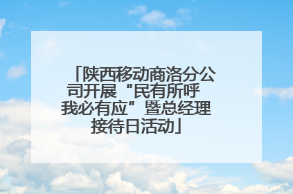 陕西移动商洛分公司开展“民有所呼 我必有应”暨总经理接待日活动