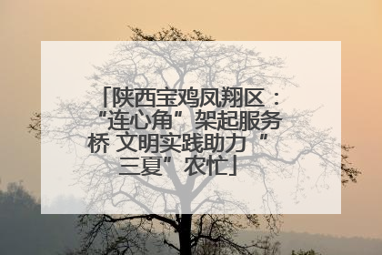 陕西宝鸡凤翔区：“连心角”架起服务桥 文明实践助力“三夏”农忙
