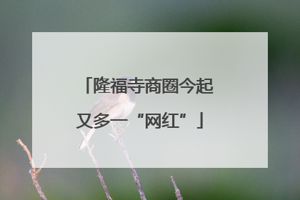 隆福寺商圈今起又多一“网红”