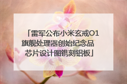 雷军公布小米玄戒O1旗舰处理器创始纪念品 芯片设计图镌刻铝板